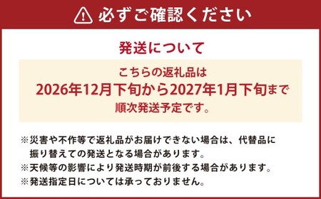 【先行予約】西見柿農園 冷蔵富有柿 12玉から15玉 (約5㎏) 【2026年12月下旬-2027年1月下旬発送予定】 柿 かき カキ 果物 くだもの フルーツ 果実 ジューシー お取り寄せ 福岡県 