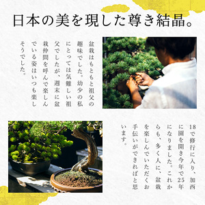 盆栽 翠松園 商品クーポン券 90,000円分 植物 観葉植物 園芸 商品券 兵庫県