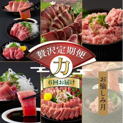 ふるさと納税 室戸市 【贅沢定期便「力」/全6回】タカシン水産厳選 高知の海鮮セット