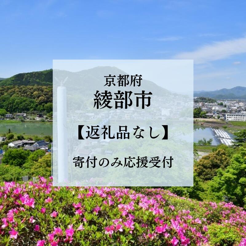 【ふるさと納税】【楽天限定】【返礼品なし】京都府綾部市への応援寄附金 寄付のみ 返礼品なし 1000円 3000円 5000円 8000円 10000円 15000円 20000円 25000円 30000円
