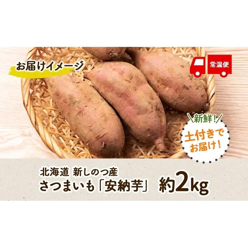 北海道 新しのつ産 さつまいも 安納芋 計2kg サツマイモ 薩摩芋 芋 甘い ねっとり 農作物 旬 採れたて 焼き芋 蒸す 野菜 スイーツ おやつ お取り寄せご褒美 JA新しのつ 送料無料