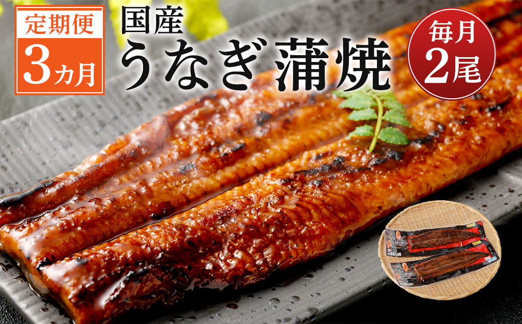 
DS-605【3カ月定期便】 九州産うなぎ蒲焼 約170g×2尾×3回　

