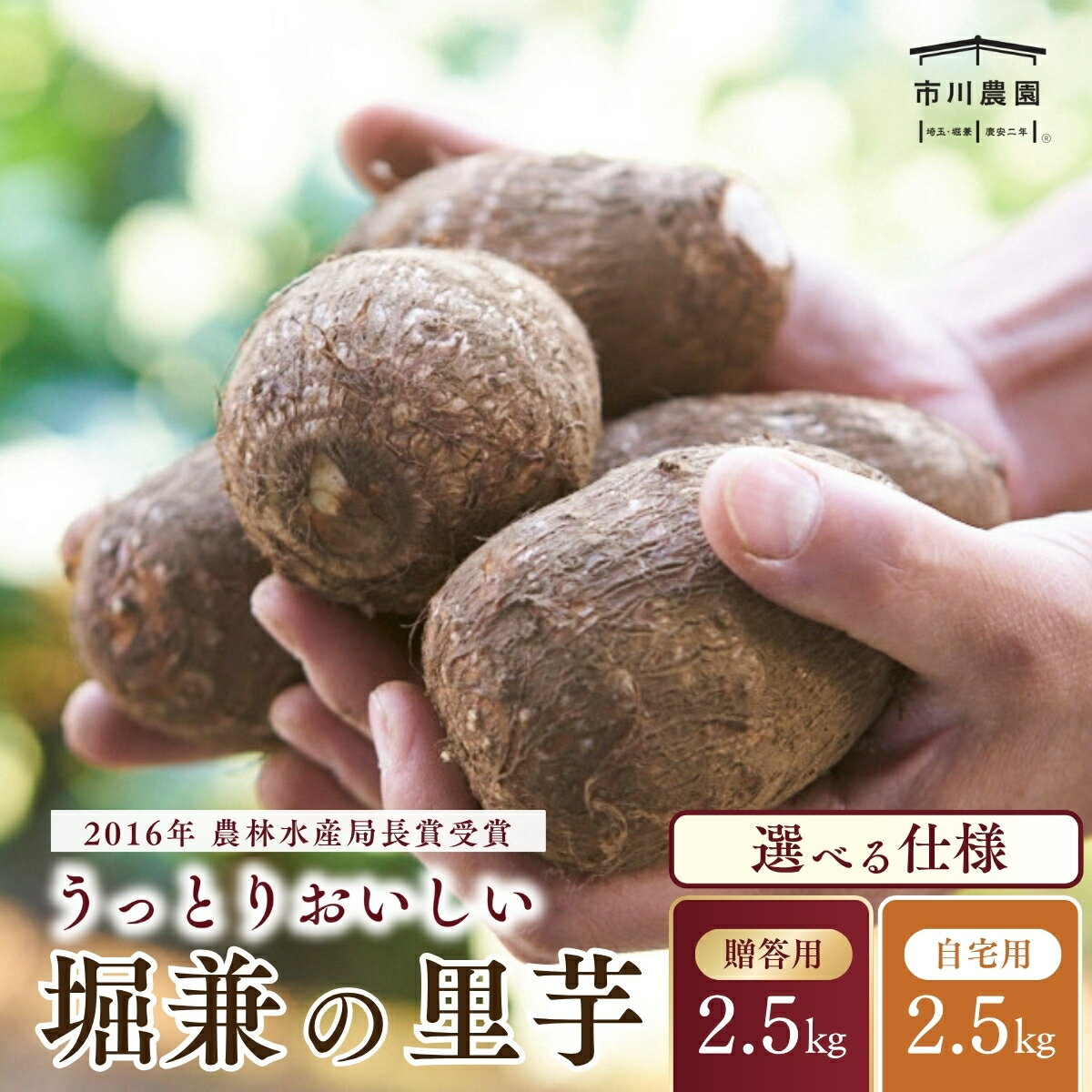 【ふるさと納税】里芋 堀兼の里芋 選べる種類 2.5kg | さといも 里いも 里芋 サトイモ 土付 野菜 旬 新鮮 期間限定 季節限定 根菜類 根菜 煮物 芋煮 コロッケ 味噌汁 みそ汁 おでん 産地直送 市川農園 埼玉県 狭山市