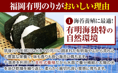 訳あり 海苔 のり 福岡有明のり全型40枚 40枚×1袋 《30日以内に出荷予定(土日祝除く)》海苔  海苔 福岡県産海苔 特産品有明海苔 訳あり海苔 のり 有明海産海苔 有明のり ミネラル  焼き海