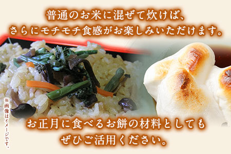 蓮華の花園(もち米) 10kg 精米 JAやつしろカントリー利用組合 熊本県 氷川町《30日以内に出荷予定(土日祝除く)》
