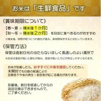 【令和8年産 新米 先行予約】 特別栽培米 つや姫 (玄米) 30kg 《令和8年9月中旬～発送》 『たけひさ農園』 山形南陽産 米 ご飯 農家直送 山形県 南陽市 [2364-R8]