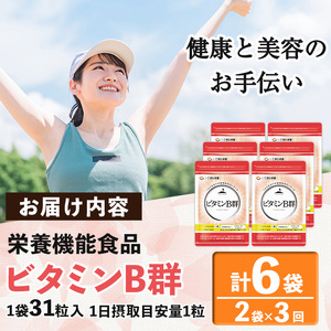 No.1300-A ＜定期便・全3回(隔月)＞ビタミンB群(2袋×3回・計6袋) 鹿児島 日置市 健康食品 サプリ 栄養バランス 食生活 安心安全 ビタミン 定期便 頒布会 【てまひま堂】
