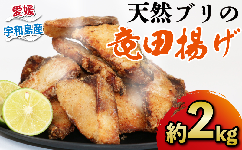 鰤 ぶり 天然ブリ 竜田揚げ 約 2kg 南予ビージョイ 鰤 ぶり ブリ buri 唐揚げ からあげ 天然鰤 南蛮漬け アレンジ 簡単調理 冷凍食品 冷凍 小分け パック 便利 海鮮 海産物 海の幸 宇和海 特産品 おつまみ おかず 国産 愛媛 愛媛県産 宇和島 D010-150001