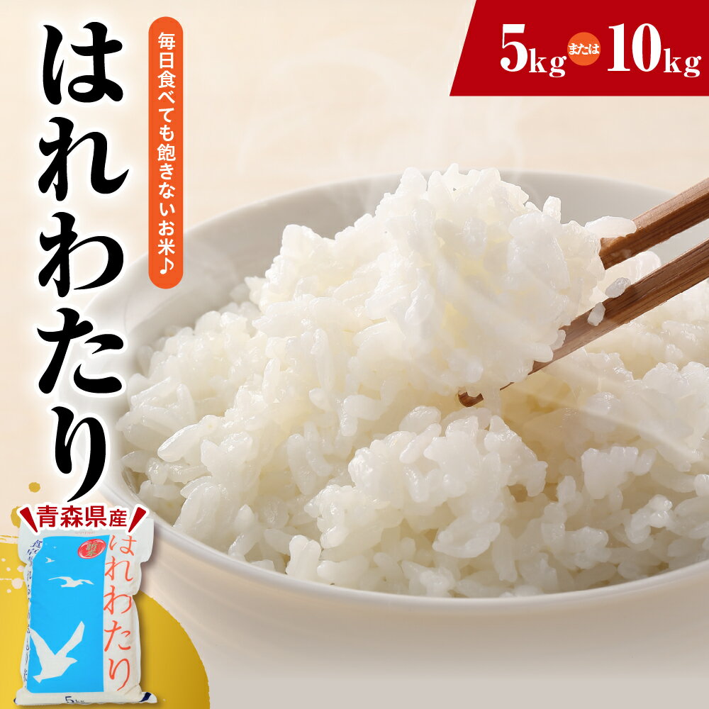 【ふるさと納税】 米 はれわたり 令和7年産 青森 内容量が選べる 5kg 10kg / 配送時期が選べる 配送 白米 精米 送料無料 青森県 五所川原市 JA 農協 お米 コメ ごはん 飯 特A米 青森米