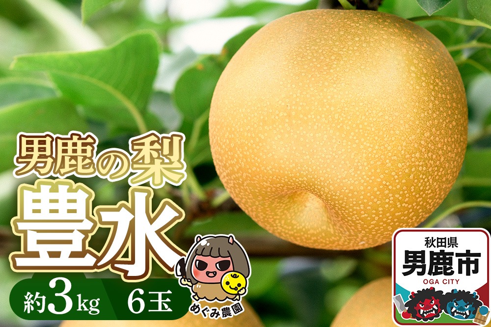 先行受付 男鹿の梨 豊水 約3kg 6玉 梨 秋田県 男鹿市 ＜めぐみ農園＞|23_mgm-010301