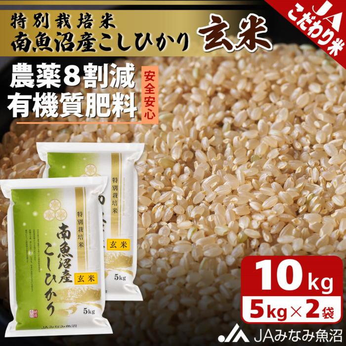 【ふるさと納税】【令和7年産】特別栽培米南魚沼産こしひかり8割減 玄米 10kg 農薬8割削減 有機肥料 調整玄米 精選玄米 特A獲得日本一産地 もっちり甘い 南魚沼産コシヒカリ | お米 こめ 食品 人気 おすすめ 南魚沼 南魚沼市 新潟県 精米
