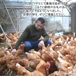 平飼い卵 6個入 12パック 新鮮たまご 産卵後2日以内に発送 養鶏場直送 新鮮 生卵 卵かけご飯 平飼い 赤玉 濃厚 鶏卵 栄養 甘み
