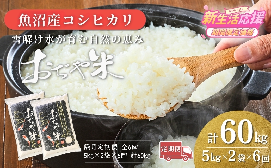 
                  【6か月定期便 コシヒカリ】 令和7年産 新潟県 魚沼産コシヒカリ「おぢや米」合計60kg(5kg×2袋×隔月お届け全6回) 徹底した品質管理でお届け！ JA魚沼 | 新潟産コシヒカリ 特A評価 魚沼産 新潟県産コシヒカリ 新潟県産こしひかり 魚沼コシヒカリ お米 米 こしひかり 白米 精米 ブランド米 特A評価地区【0002-JA09DB00-04】
                