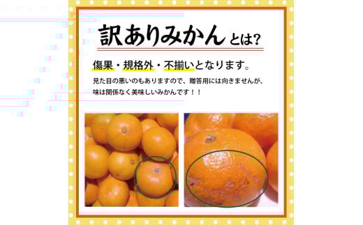 【訳あり】農家直送 有田みかん約5kg ご家庭用 サイズ混合 ※2025年11月中旬から2026年1月中旬までに順次発送予定（お届け日指定不可）※北海道・沖縄・離島への配送不可　訳ありみかん 温州みか
