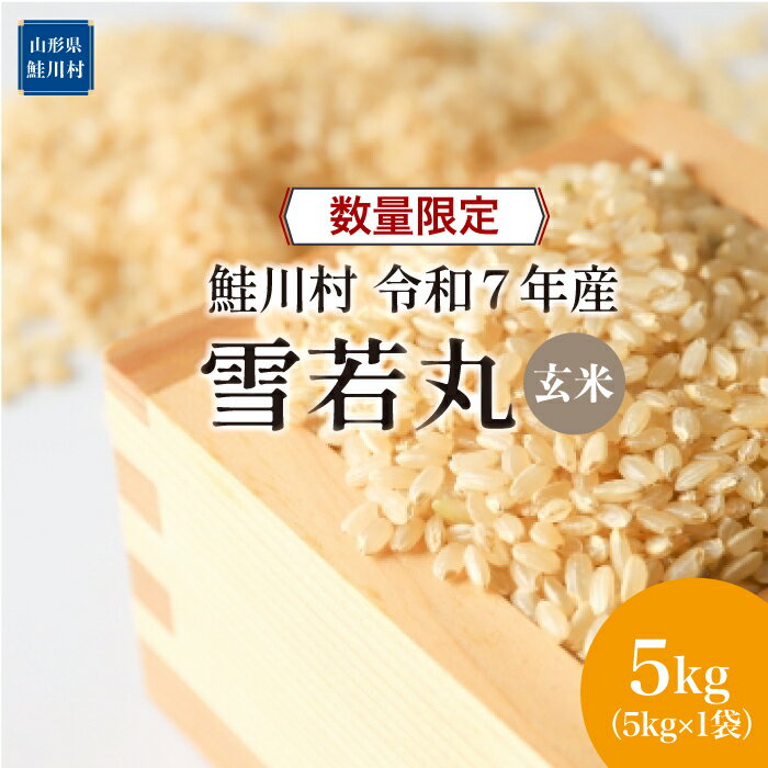【ふるさと納税】数量限定！＜令和7年産米＞ 鮭川村 雪若丸 【玄米】 5kg （5kg×1袋）＜配送時期選べます＞