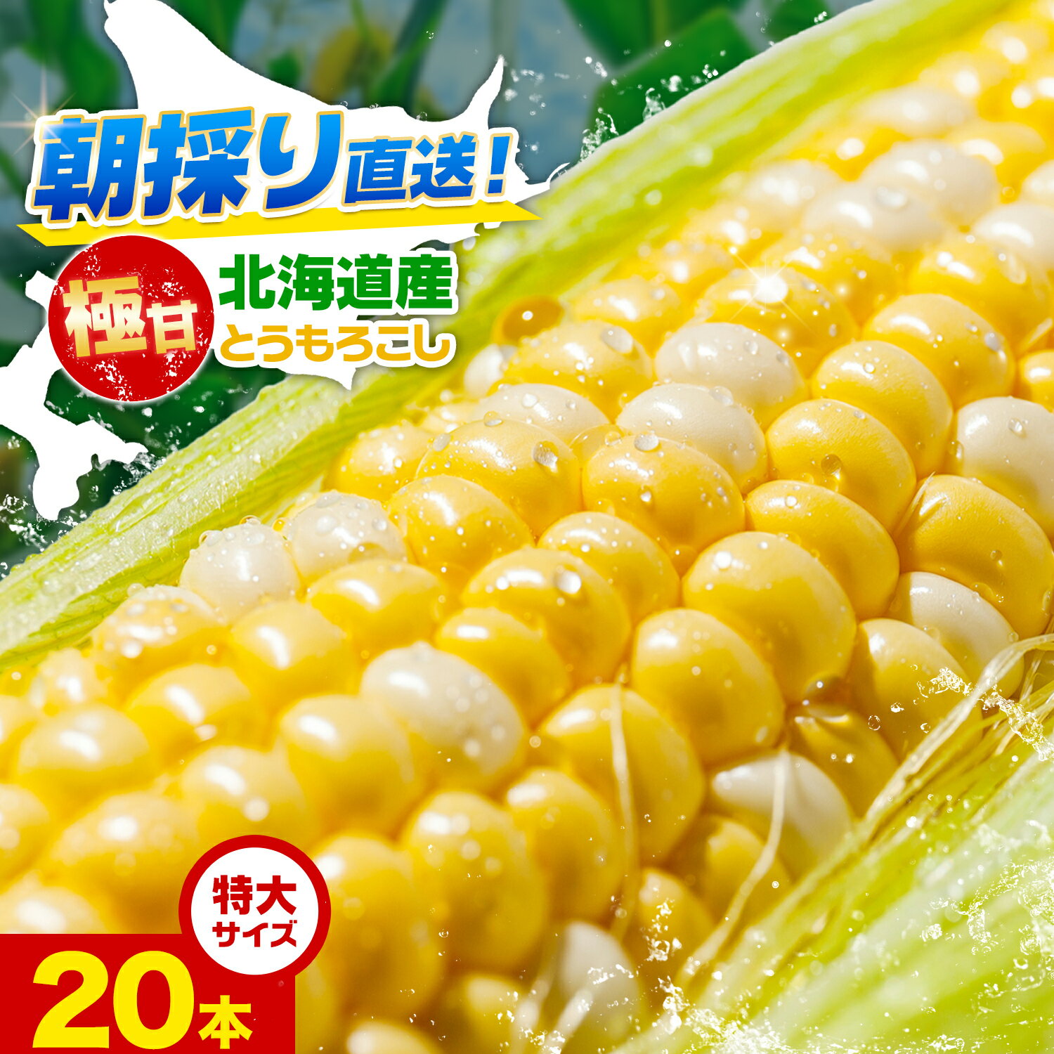 【ふるさと納税】とうもろこし ピーターコーン 20本 特大 380g以上 高橋賢三 北海道 本別町産 十勝 スイートコーン バイカラー 極甘 高糖度 鮮度抜群 産地直送 朝採り 旬 野菜 お取り寄せ グルメ ギフト 贈り物 プレゼント 先行予約 送料無料 《2026年8月上旬-9月中旬出荷》