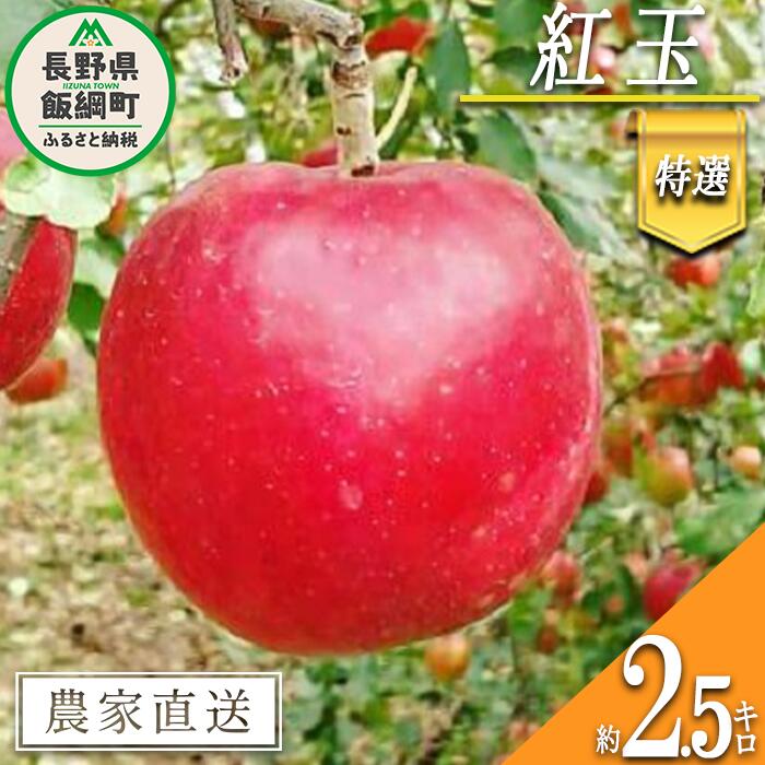 【ふるさと納税】 りんご 紅玉 特選 2.5kg やまじゅうファーム 沖縄県への配送不可 令和7年度収穫分 信州の環境にやさしい農産物 減農薬栽培 長野県 飯綱町 〔 信州 果物 フルーツ リンゴ 林檎 長野 14000円 予約 農家直送 〕発送時期：2025年10月上旬〜2025年10月中旬{***}