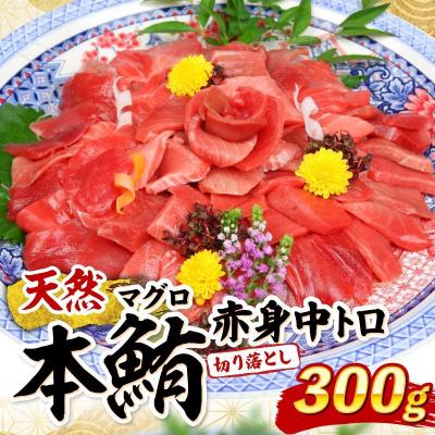 ふるさと納税 室戸市 天然本マグロ 中トロ 赤身 切り落とし 300g 小分け(100g×3パック)
