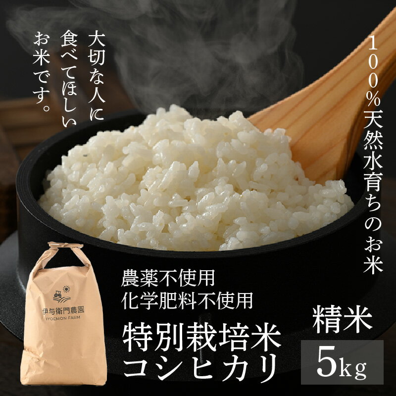 【ふるさと納税】【先行予約】【令和8年産 新米】コシヒカリ 精米 5kg 特別栽培米 無農薬 化学肥料不使用 / 伊与衛門農園の特別栽培米 高品質 鮮度抜群 福井県 あわら市産 ブランド米 R8 北陸 白米 お米 ご飯 ※2026年9月下旬より順次発送予定