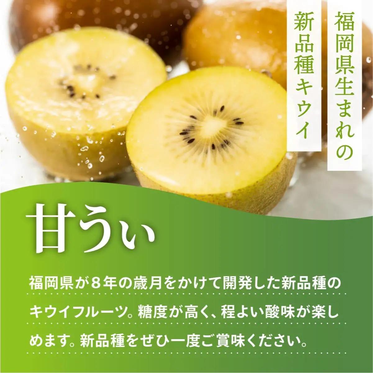 寄附額改定↓【先行予約】希少 キウイ 甘うぃ 約3kg（2026年11月以降発送）