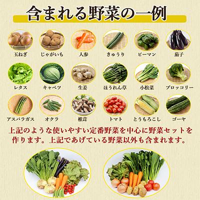 ふるさと納税 時津町 【発送月固定定期便】こだわり野菜セット 7品目以上 詰め合わせ (時津町)全4回 |  | 02