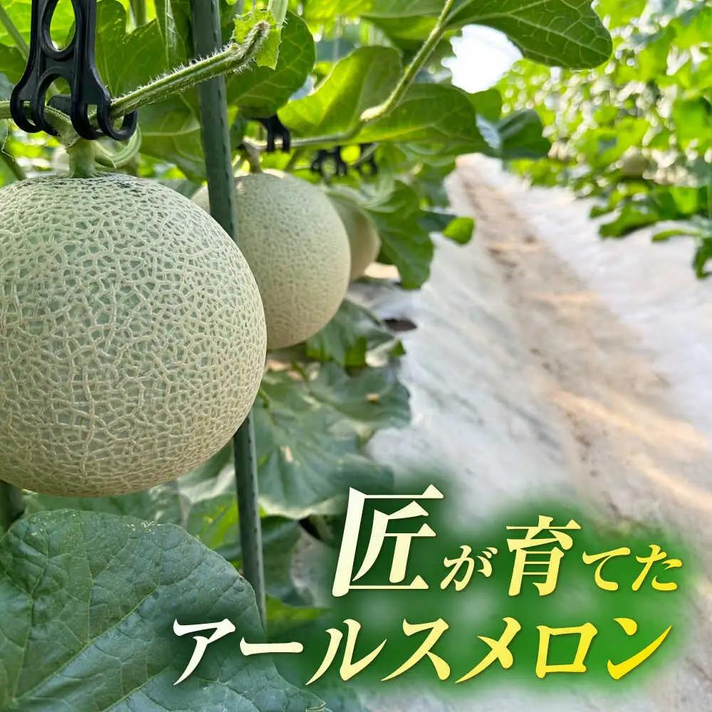 【先行予約】山鹿の恵み!匠の育てたアールスメロン（マスクメロン） 約1.8kg以上×2玉【きもと農園】[ZFQ004]