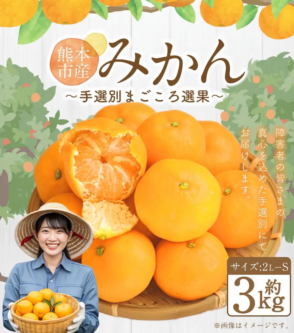 ＜ R8年熊本地震復興支援 ＞熊本県産 みかん 【手選別まごころ選果】 約3kg サイズ 2L～S 蜜柑 ミカン フルーツ 果物 くだもの 柑橘 熊本産 九州産【2026年10月下旬～2027年2月上