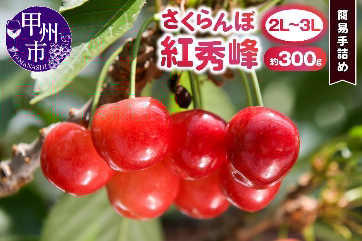 
            甲州市産大粒さくらんぼ 童夢の「紅秀峰」簡易手詰め（約300g 2L～3Lサイズ）【2026年発送】（DOM）B13-141
          