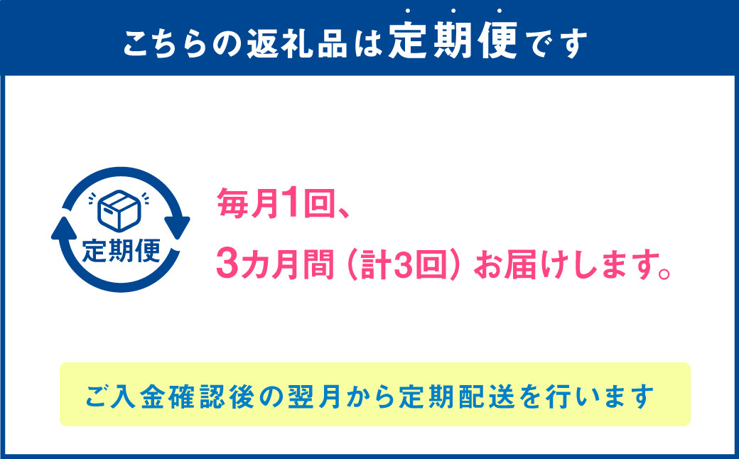 C39Z3【定期便3回】 馬肉ハンバーグ 約150g×10個 合計約4.5kg 馬肉100% ハンバーグ 熊本 冷凍 馬肉 馬 肉 惣菜 おかず