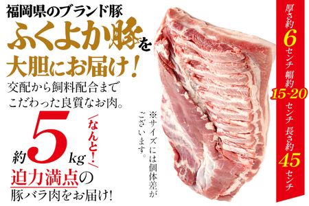 ふくよか豚バラブロック約5kg 豚バラブロック 豚バラブロック肉 豚肉 ブタ肉 豚 豚バラ ブロック肉 塊肉 自家製ベーコン チャーシュー しゃぶしゃぶ 角煮 燻製 煮込み料理 ふくよか豚 焼き鳥 サ
