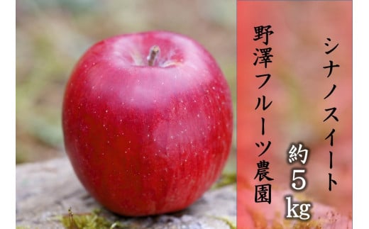 379 先行予約 りんご シナノスイート 5㎏ 【野澤フルーツ農園】