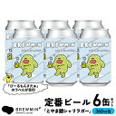 【ふるさと納税】クラフトビール「とやま銀シャリラガー」6本セット 【BREWMIN'の定番ビール】 富山県 氷見市 地ビール ビール 6 缶 詰め合わせ