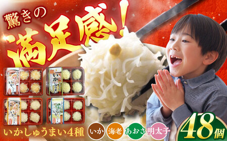 いかしゅうまい4種詰め合わせ（6個入り×各2パック） / 佐賀県 / 惣菜 焼売 おかず 惣菜 [41AECT004]