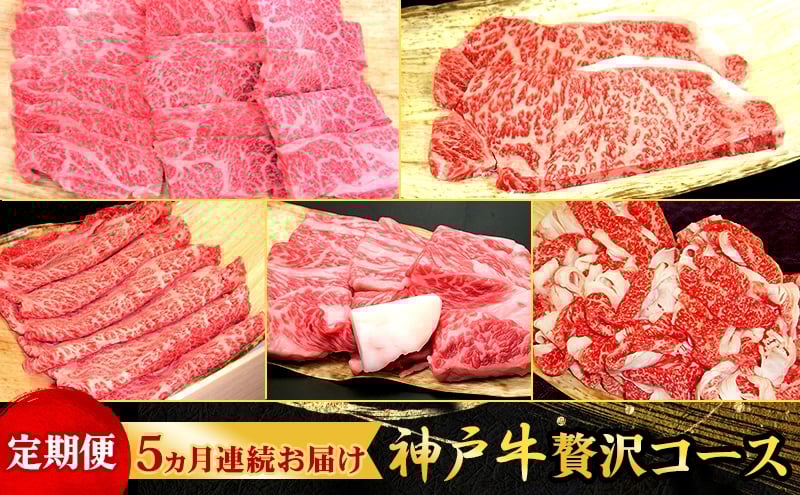 
定期便 神戸牛 贅沢コース 5ヵ月連続お届け[ 肉 食べ比べ すき焼き ステーキ 焼肉 切落し 牛肉 ]
