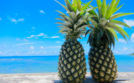 【2024年発送】久米島印商店 パイナップル2個（ハワイ種Ｎ67-10）