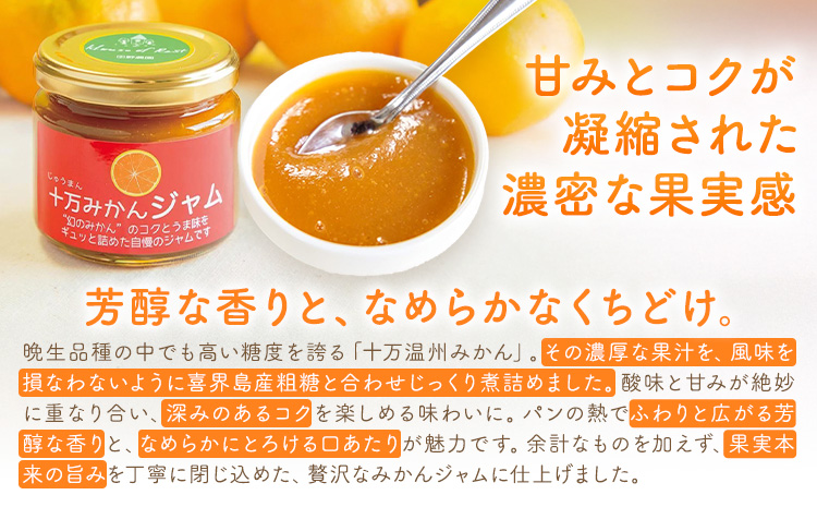 十万みかん ジャム 150g 6個 田野農園《30日以内に出荷予定(土日祝除く)》鹿児島県 さつま町 みかん 蜜柑 柑橘 果物 くだもの フルーツ ジューシー 送料無料