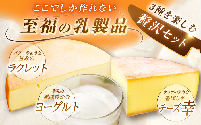 北海道 チーズ＆ヨーグルトセット（チーズ2種・ヨーグルト2個）《足寄町》【しあわせチーズ工房】チーズ ハードチーズ ヨーグルト 乳製品 生乳 おつまみ おすすめ ギフト 足寄町産 北海道産 道産 あし