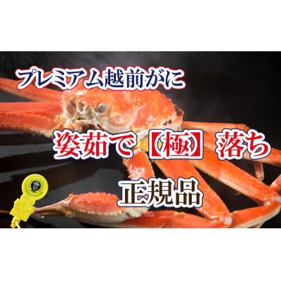 ふるさと納税 越前町 桐箱入り!越前の宝【極】落ち　プレミアム越前がに × 1杯 ≪浜茹で≫【2・3月発送分】