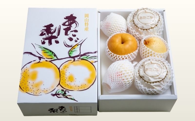 家庭用 詰め合わせ 4kg箱 青秀 あたご梨2〜3玉・ヤーリー梨3〜7玉 岡山県産 | あたご梨 愛宕梨 ヤーリー梨 鴨梨 梨 ご家庭用 ご自宅用 御歳暮 果物 くだもの フルーツ 石原果樹園【ish