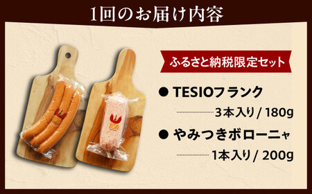 【全12回定期便】【ふるさと納税限定】TESIOの自家製フランク＆ボローニャセット (計380g) 豚肉 ハム ソーセージ 小分け 真空パック 沖縄市 / TESIO[BCAD018]