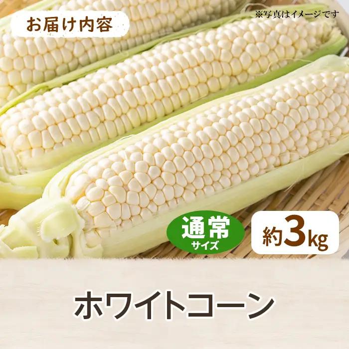 ＜先行予約！2027年6月上旬以降順次発送予定＞ホワイトコーン(約3kg/通常品) 香川県 国産 とうもろこし トウモロコシ 新鮮 冷蔵便 【man110-A】【Aglio nero】
