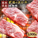 【ふるさと納税】肥後のあか牛 焼肉用 1000g 1kg (500g×2) 熊本県産和牛 赤牛 焼肉 牛肉 和牛 あか牛 肉 お肉 焼き肉 バーベキュー BBQ カット 冷凍 熊本県産 国産 九州産 送料無料