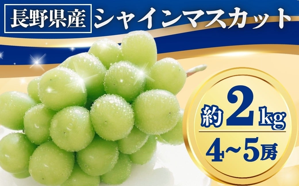 
            シャインマスカット 約2kg(4~5房)｜ 果物 フルーツ 白ぶどう 葡萄 ブドウ 種無し 種なし 皮ごと 千曲市 長野県 信州
          
