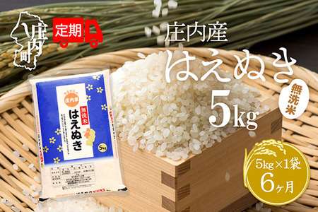 ＜11月中旬発送＞庄内米6か月定期便！はえぬき無洗米 5kg（入金期限：2025.10.25）