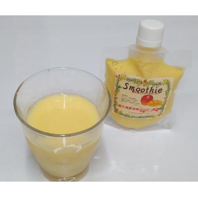 ふるさと納税 屋久島町 屋久島産　マンゴースムージー　冷凍10個 |  | 01