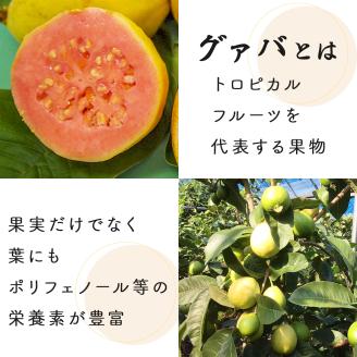 KU324 宮崎県串間市産 グァバ茶 (230ｇ×5袋) 【宮崎果汁】