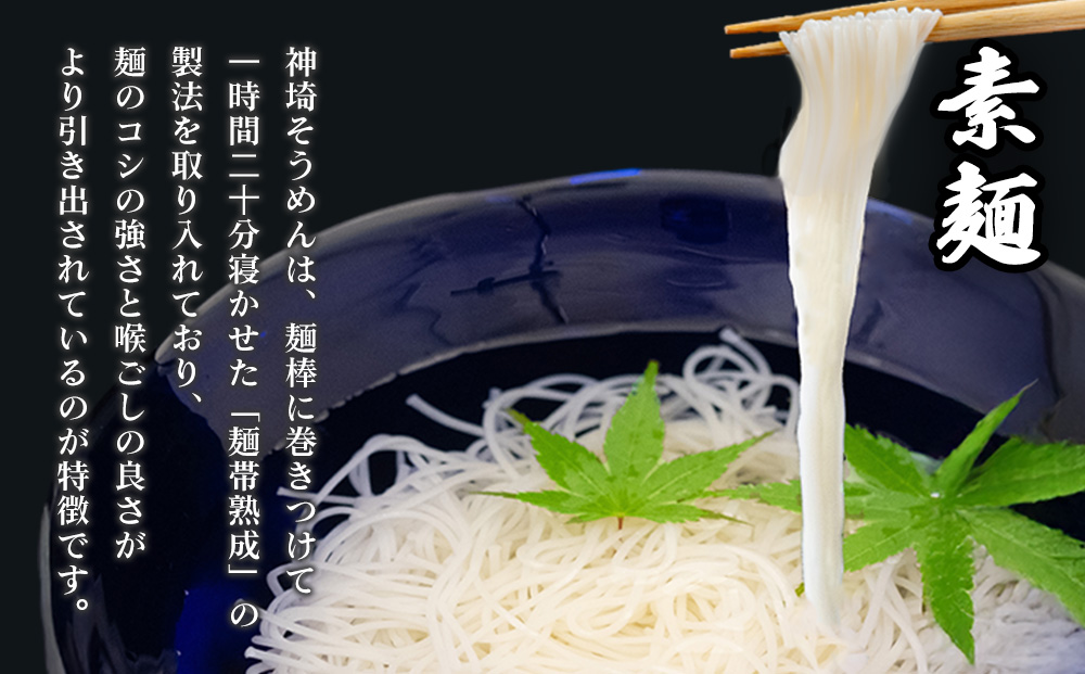 神埼めんセット(そうめん4袋・蕎麦2袋) 12カ月定期便【素麺 そば 麺 神埼そうめん のどごし 贈答 ギフト お中元 お歳暮】(H110105)