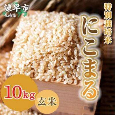 ふるさと納税 諫早市 【令和7年産】特別栽培米　九州のこだわり玄米　食べ比べ10kg×2 |  | 02