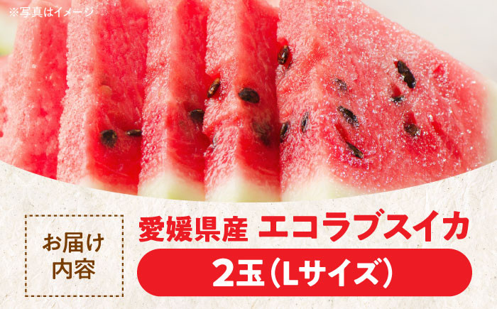 食品 果物 フルーツ おやつ デザート すいか スイカ 西瓜 エコラブ スムージー ヨーグルト ジュース