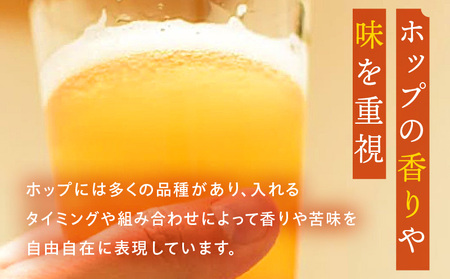 おまかせMIX6缶セット ビール お酒 詰め合わせ